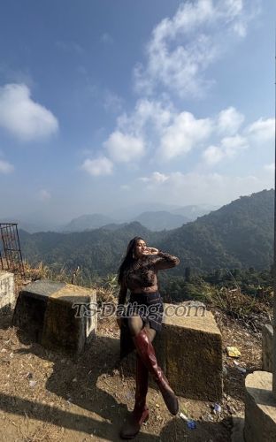 trans girl Cindrella13 5166146