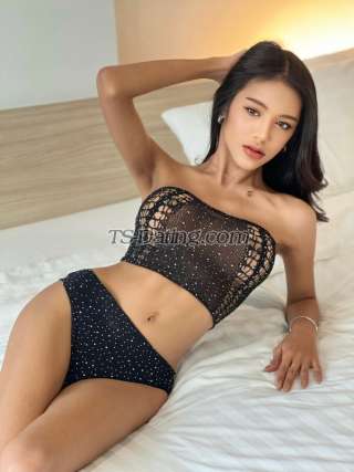 trans girl Cindy112 3912254 trans girl Cindy112 3912254