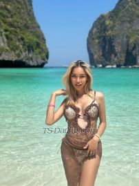 Cindy2544 Phuket Transex ✅WhatsApp :  +66839916009
✅Line : line.me/ti/p/N5xJCin89f
✅Telegram : @Cindy_btf

Hello,My name is Cindy, i'm very petite and naughty blonde girl. Clean and very professional,I'm here to make your dreams come to realitty

Services included 💵
✅️ Anal fuck (condom is a must)
✅️ owo 
✅️ dinner dates
✅️ top and bottom
✅️ full girlfriend experience
✅️ french kissing
✅️ shower together
✅️ COF 
✅️ feet job
✅️ deep tongue rimming
✅️ party and couples 
My extras 💵
Let’s meet if you are close to me now  🙏

