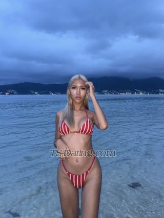 trans girl Cindy2544 0407855