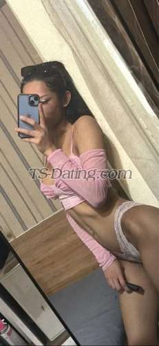 trans girl Cindyladyboy 7536038 trans girl Cindyladyboy 7536038