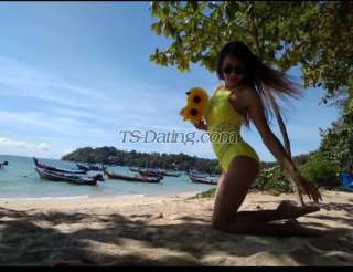 trans girl CintaCindy 2324195 trans girl CintaCindy 2324195