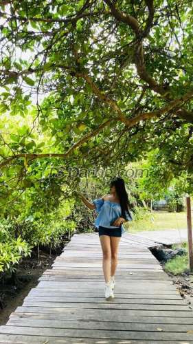 trans girl Cjeny 1452306 trans girl Cjeny 1452306