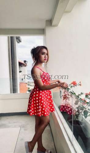 trans girl Cjeny 2615742 trans girl Cjeny 2615742