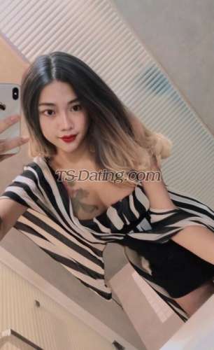 trans girl Clarabella 7216621 trans girl Clarabella 7216621