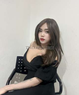 trans girl Clarabella 8188892 trans girl Clarabella 8188892