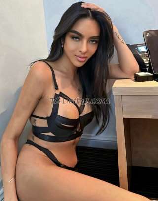 trans girl ClassyAshley 9816811 trans girl ClassyAshley 9816811