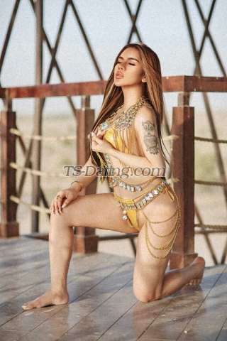 trans girl Classyluna 5376697 trans girl Classyluna 5376697