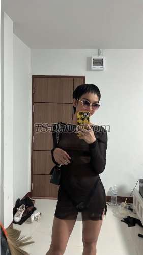 trans girl Contactbella 9045399