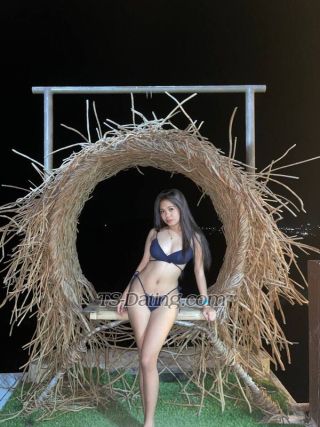 trans girl Criel4u 8780584 trans girl Criel4u 8780584