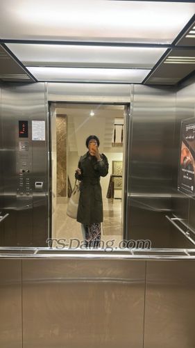 trans girl CruellaDevil 1957870 trans girl CruellaDevil 1957870