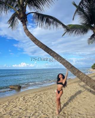 trans girl CubanaVip24 6285480 trans girl CubanaVip24 6285480