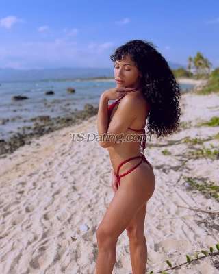 trans girl CubanaVip24 9859393 trans girl CubanaVip24 9859393