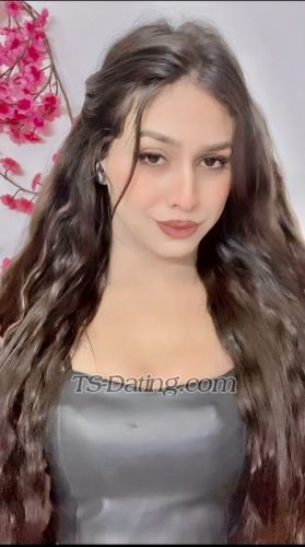 trans girl Cuteamelia 3153014