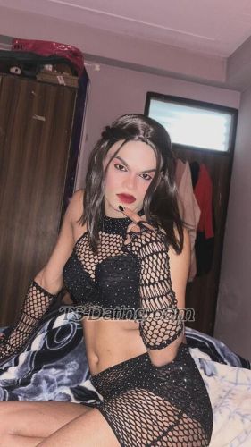 trans girl Cutejuliee 8864939 trans girl Cutejuliee 8864939