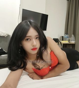 trans girl Cyntia 6773686