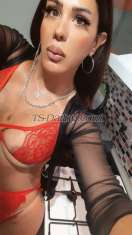 Cyprusmira Istanbul Transex Привет лучший транссексуал первого класса турецкий транссексуал XXL https://onlyfans.com/cikolataezgi следуй за мной северный кипр турецкая сторона kyrenia girne