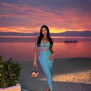 trans girl callherleila 7986523