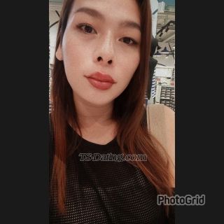 trans girl cassidy23 7049889 trans girl cassidy23 7049889