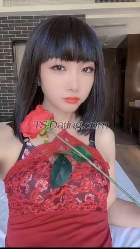 trans girl cdpapa3 6314409 trans girl cdpapa3 6314409