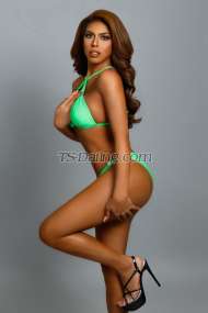 chixdelighTS Central Transex I am an epitome of radiated intelligent beauty. My eye\'s is were drawn to the golden river that gently caressed its way down to your neck. My skin glistening with a sensual sweat that slides upon like a silk in your legs. I am a perfect sketch of beauty and class. And if the gods are real, then i am their masterpiece.

The time you with me is like heaven you will lay upon a soft feather mattress, and we will definitely cocooned ourselves in the silk sheets. No rush and all pleasure sensual time for us. Intimacy is my favorite game and you will surely love to play.  

Eurasian Babe just arrived Hong Kongfor short visit Only!

Fresh, Creamer and bolder...

✔️✔️ Safe and Clean Sex (No BB & No CiM)
✔️✔️ Disease Free (Updated Test)
✔️✔️ Proper Hygiene is a must 
✔️✔️ All picture are 100% real (No sending of pics) 
✔️✔️ No Dick Picture Collector
✔️✔️ Video Calls are only welcome for my regular clients
✔️✔️ For Serious Takers Only 

My rates don\'t change whenever i go... 

Don\'t be rude just be nice and i can consider some offer. 

If you want to know me better feel free to hit me up:

Call/SMS/Imessage/Signal/Whatsapp/Viber
 +852 4448 1672
Telegram: @itsmeLEILA
WeChat: itsmeLEILAPIRES
Line: itsmeleilapires
Email: itsmeleila26@yahoo.com

xoxo
Leila