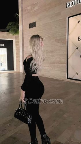 trans girl cinturinha 7424811 trans girl cinturinha 7424811