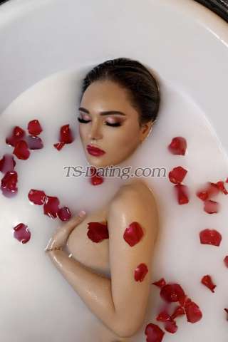 trans girl clairepatra 6090316 trans girl clairepatra 6090316