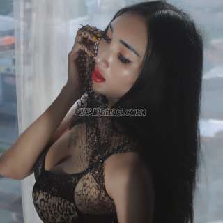 trans girl claura 4583647 trans girl claura 4583647