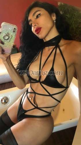 trans girl DALMATS 0663246 trans girl DALMATS 0663246