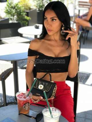 trans girl DALMATS 0926800 trans girl DALMATS 0926800