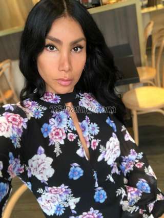 trans girl DALMATS 0926861 trans girl DALMATS 0926861