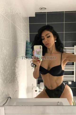 trans girl DALMATS 2051960 trans girl DALMATS 2051960