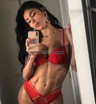 trans girl DALMATS 2319296 trans girl DALMATS 2319296