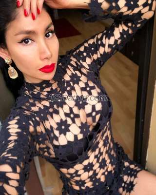 trans girl DALMATS 2319382 trans girl DALMATS 2319382