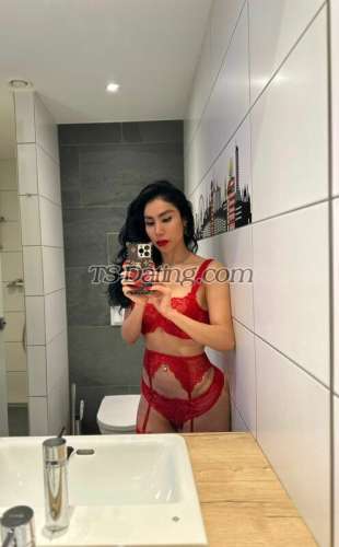 trans girl DALMATS 4045139 trans girl DALMATS 4045139