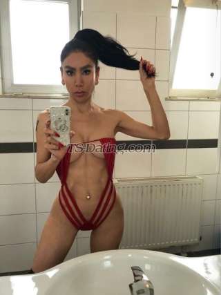 trans girl DALMATS 4624208 trans girl DALMATS 4624208