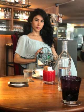 trans girl DALMATS 6365449 trans girl DALMATS 6365449