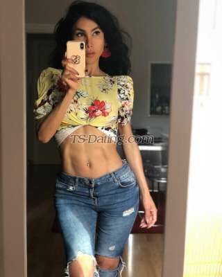 trans girl DALMATS 6365474 trans girl DALMATS 6365474