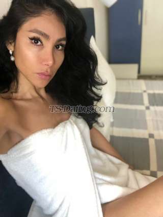 trans girl DALMATS 8636468 trans girl DALMATS 8636468