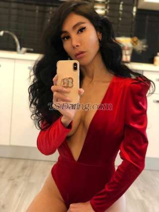 trans girl DALMATS 8636523 trans girl DALMATS 8636523