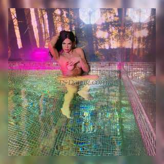 trans girl DafynneSilva 3570324