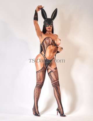 trans girl DafynneSilva 4713038 trans girl DafynneSilva 4713038