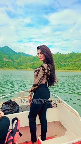 trans girl Daisy69 7968924 trans girl Daisy69 7968924