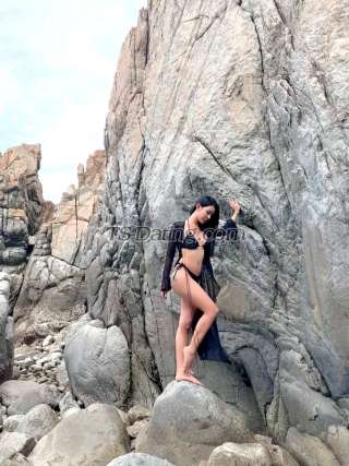 trans girl Daisy99 5297788 trans girl Daisy99 5297788