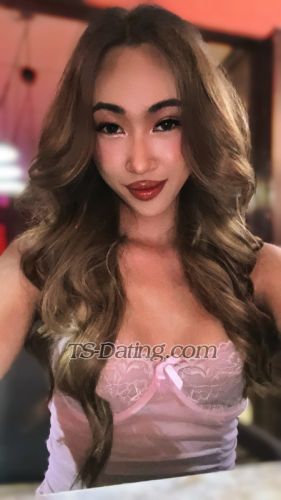 trans girl Daisyday 3233348 trans girl Daisyday 3233348
