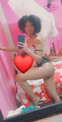 trans girl DalilaSharlo 5612537 trans girl DalilaSharlo 5612537