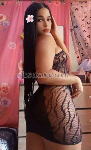 trans girl DaniaPerez 5276951 trans girl DaniaPerez 5276951