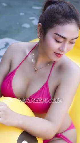 trans girl Daniellaestel 8870623 trans girl Daniellaestel 8870623