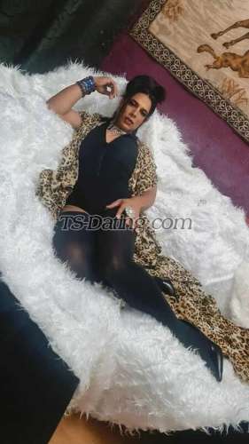 trans girl DanyellaAtve 6743213 trans girl DanyellaAtve 6743213