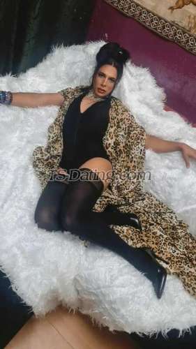 trans girl DanyellaAtve 6743274 trans girl DanyellaAtve 6743274